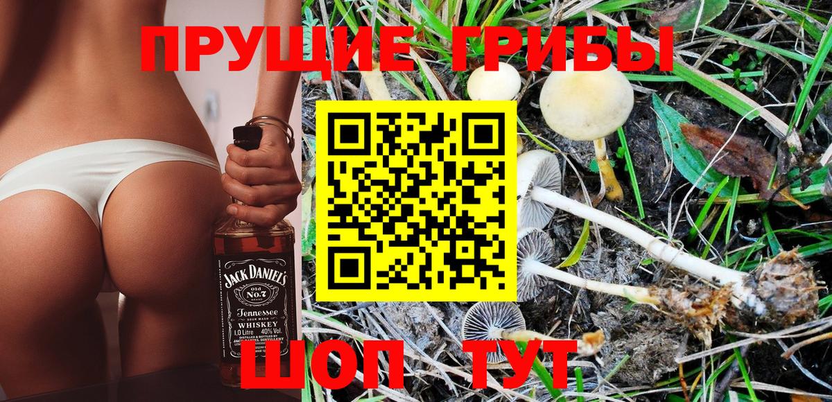 Галлюциногенные грибы Psilocybe Сарапул